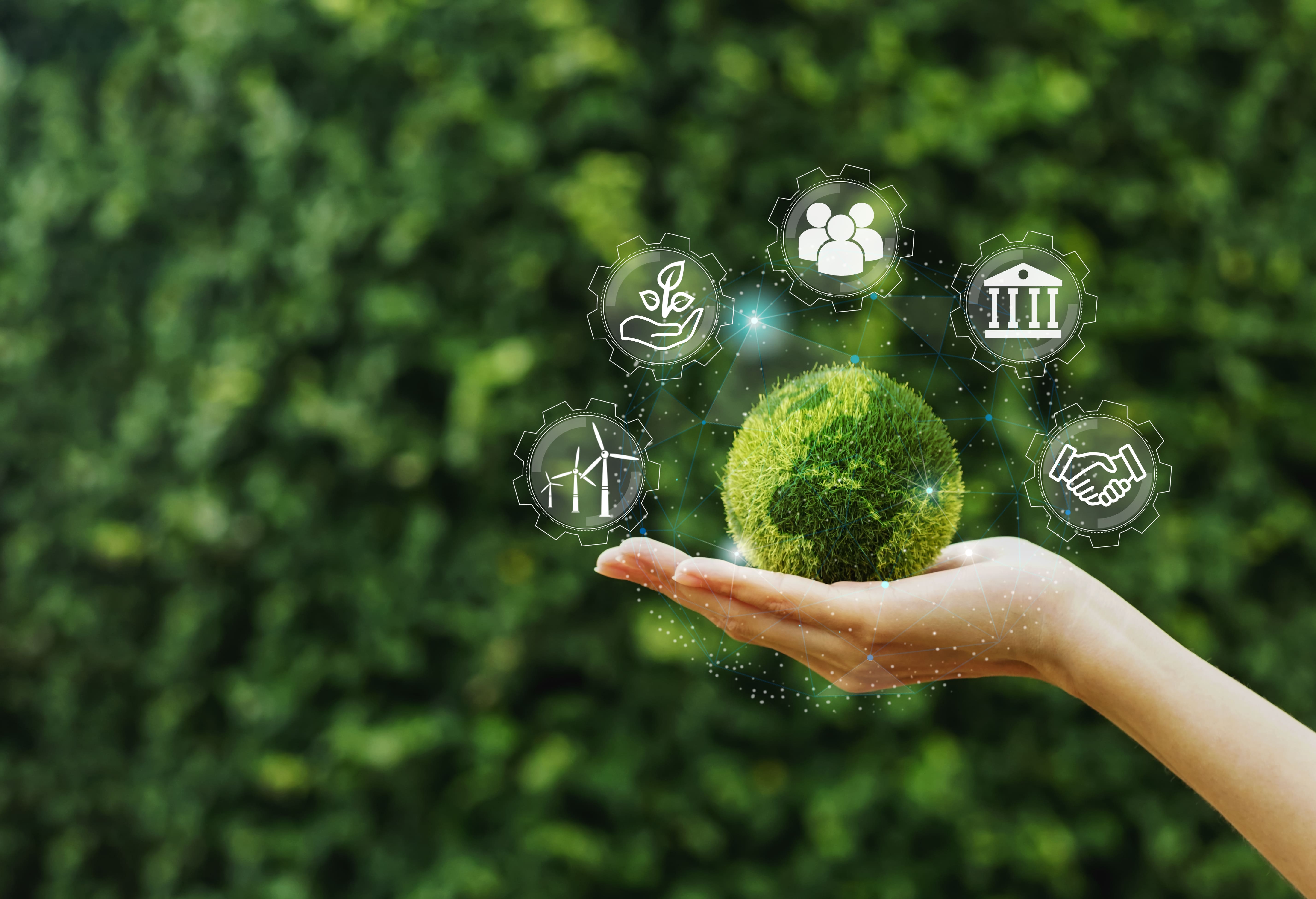 Carbon Trading and Advisory